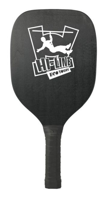 Pickleball Paddle and Ball Set