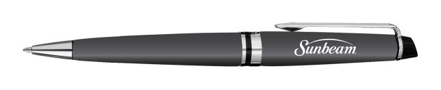 Waterman Expert Ballpoint - Matte