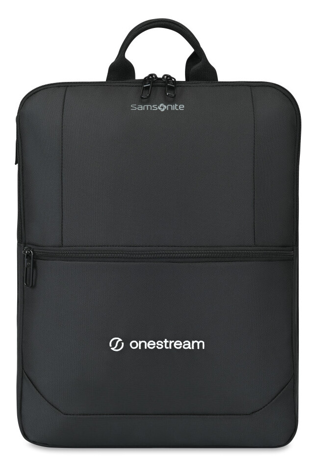 Samsonite Convertible Luggage Cover and Laptop Backpack