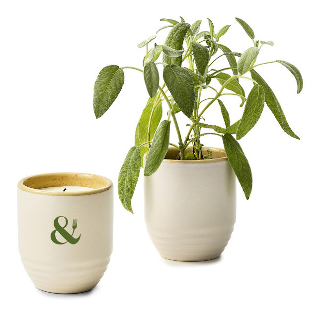 Modern Sprout® Garden Vibes Candle/Planter