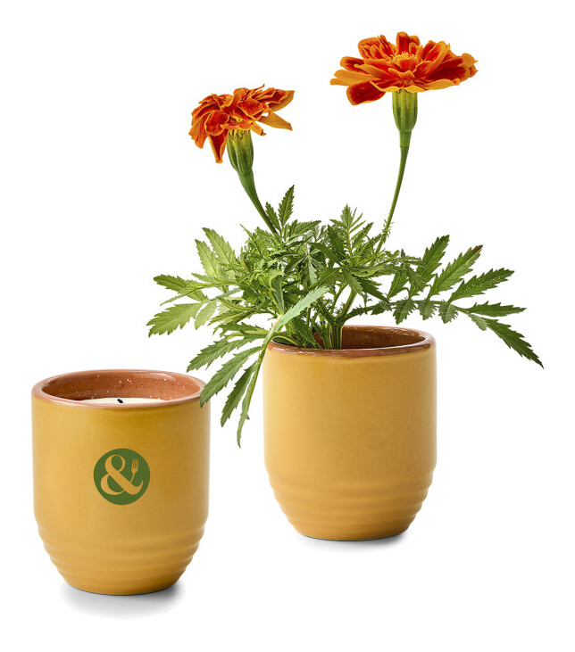 Product Color Image Large