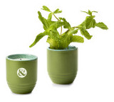 Product Color Image Thumb