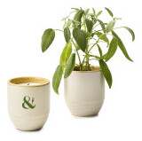 Product Color Image Thumb