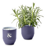 Product Color Image Thumb