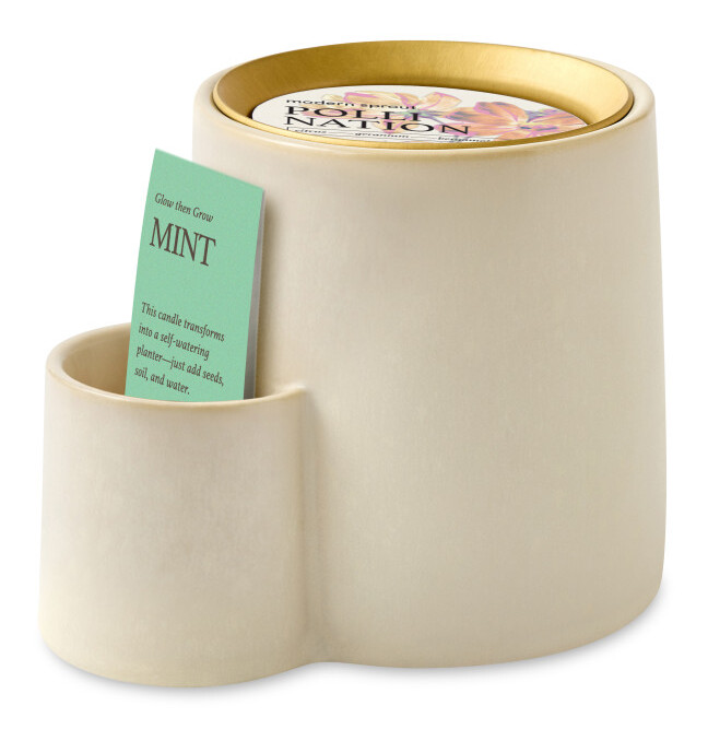 Modern Sprout® Ember Earth Candle + Planter