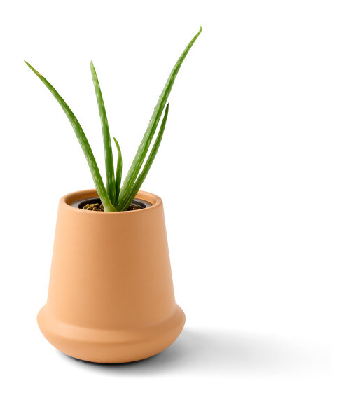 Modern Sprout® Modern Terracotta Grow Kit Aloe