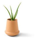 Product Color Image Thumb
