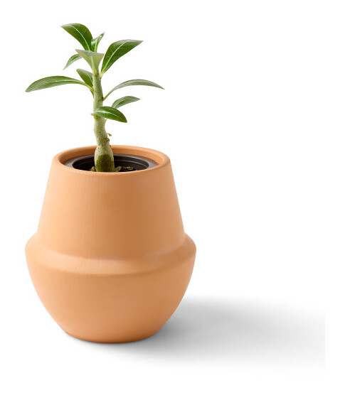 Modern Sprout® Modern Terracotta Grow Kit Bonsai