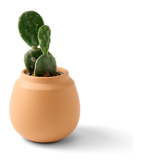 Modern Sprout® Modern Terracotta Grow Kit Cactus