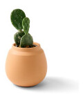 Product Color Image Thumb