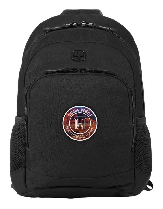 Swiss Gear Mini Tour Sling Bag