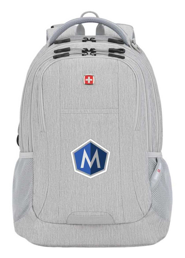 Swiss Gear Frost Peak Computer Backpack