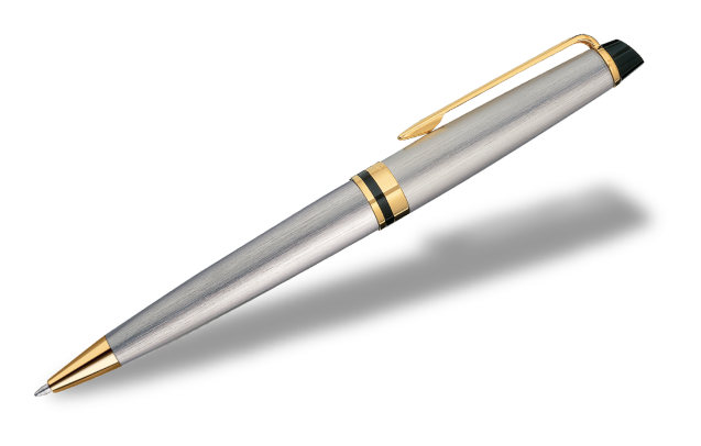 Waterman Expert Stainless Ball Pen